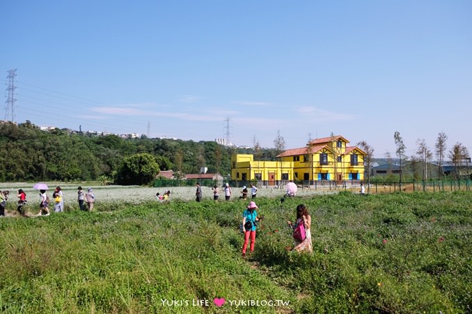 桃園【大溪中新里韭菜花田】台灣9月雪限定賞花景點遊記 - yuki.tw