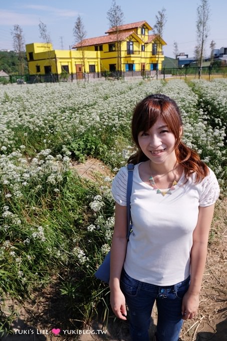 桃園【大溪中新里韭菜花田】台灣9月雪限定賞花景點遊記 - yuki.tw