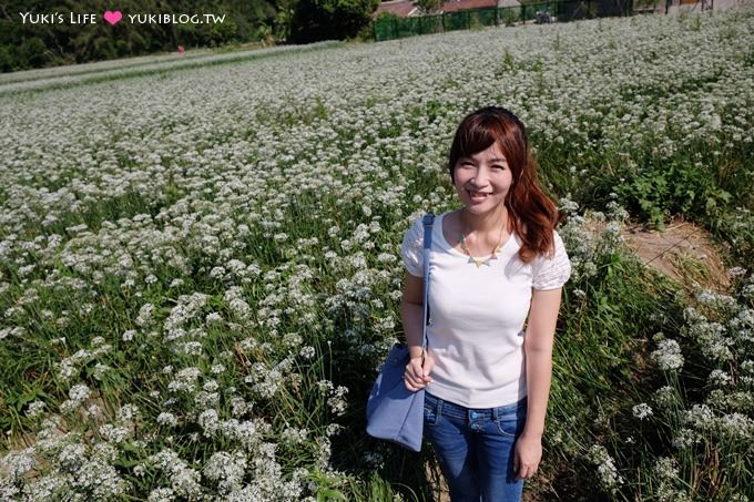 桃園【大溪中新里韭菜花田】台灣9月雪限定賞花景點遊記 - yuki.tw