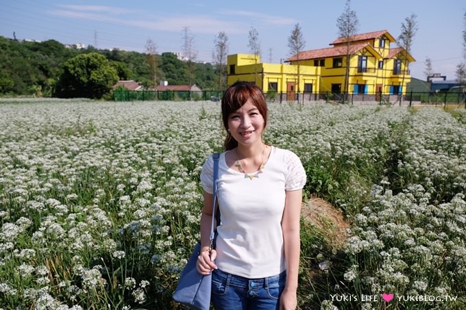 桃園【大溪中新里韭菜花田】台灣9月雪限定賞花景點遊記 - yuki.tw