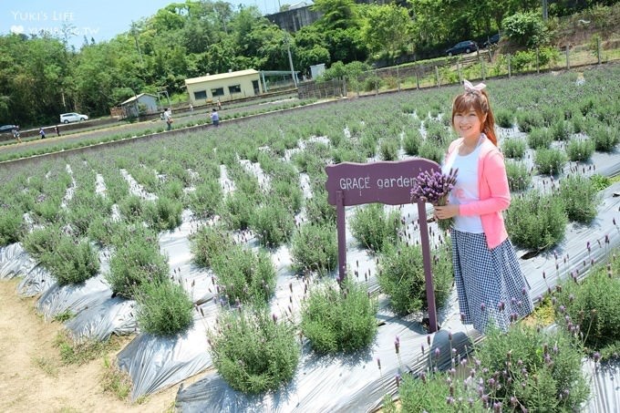 苗栗景點【葛瑞絲香草田】頭屋免費七千坪薰衣草花園×芳香浪漫異國風情