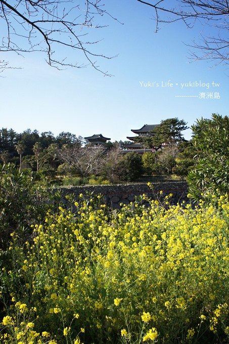 韓國濟洲島旅行【藥泉寺】濟洲最大的寺廟.天海一線真美!